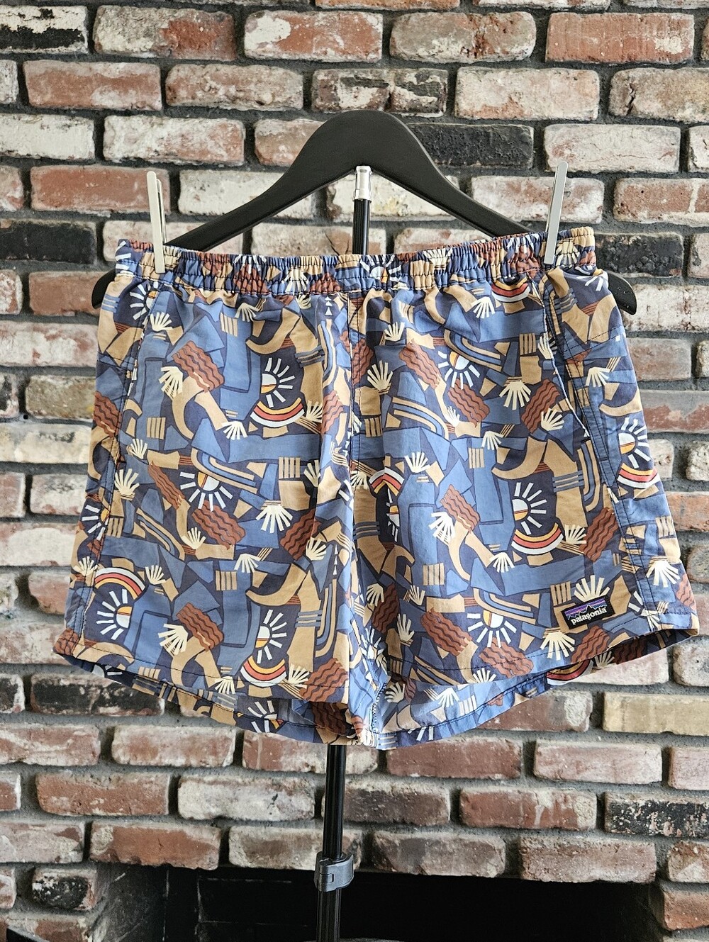 Rare Patagonia Baggies Shorts in Canyon Block